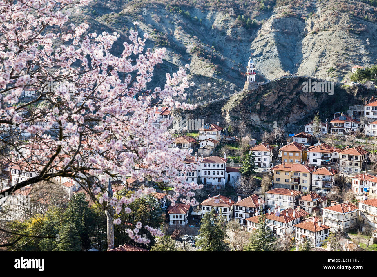 Erhöhte Ansicht von Göynük Stadt mit Frühlingsblumen Baum geblasen. Göynük ist eine Stadt und ein Bezirk von Bolu Provinz im Schwarzen Meer Stockfoto