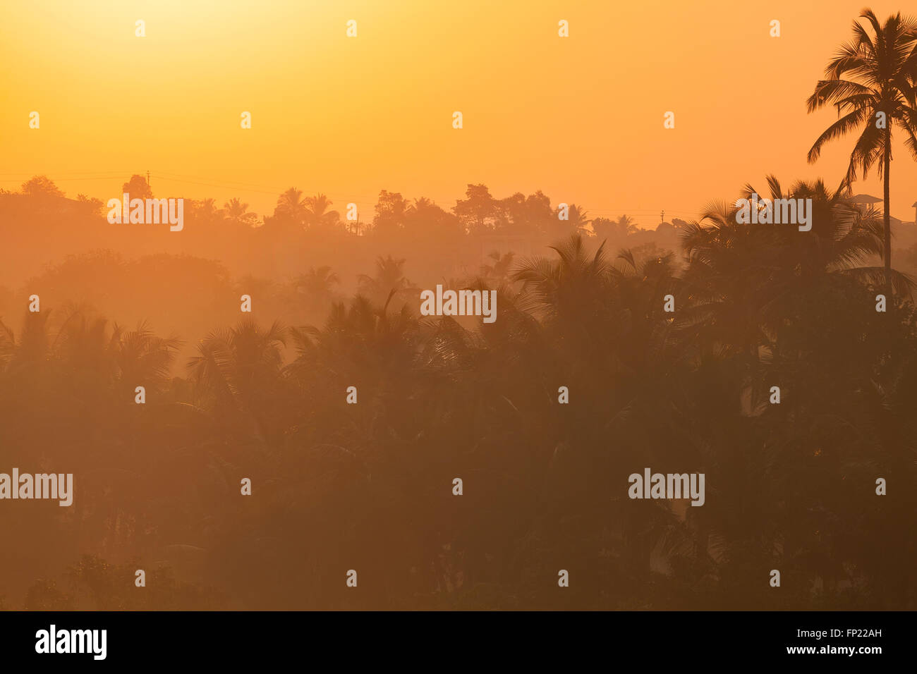 Goa nebligen Sonnenaufgang Landschaft Stockfoto
