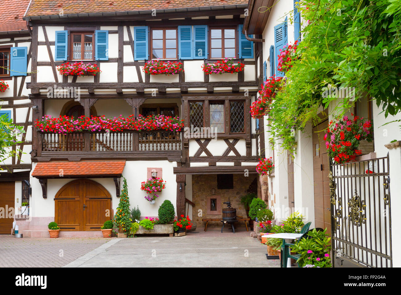 Fachwerkhäuser, Eguisheim, Elsass, Haut-Rhin, Frankreich Stockfoto