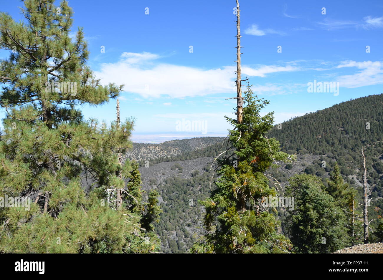 Ein Blick von den San Gabriel Mountains am Highway 2 in Südkalifornien östlich von Los Angeles Stockfoto