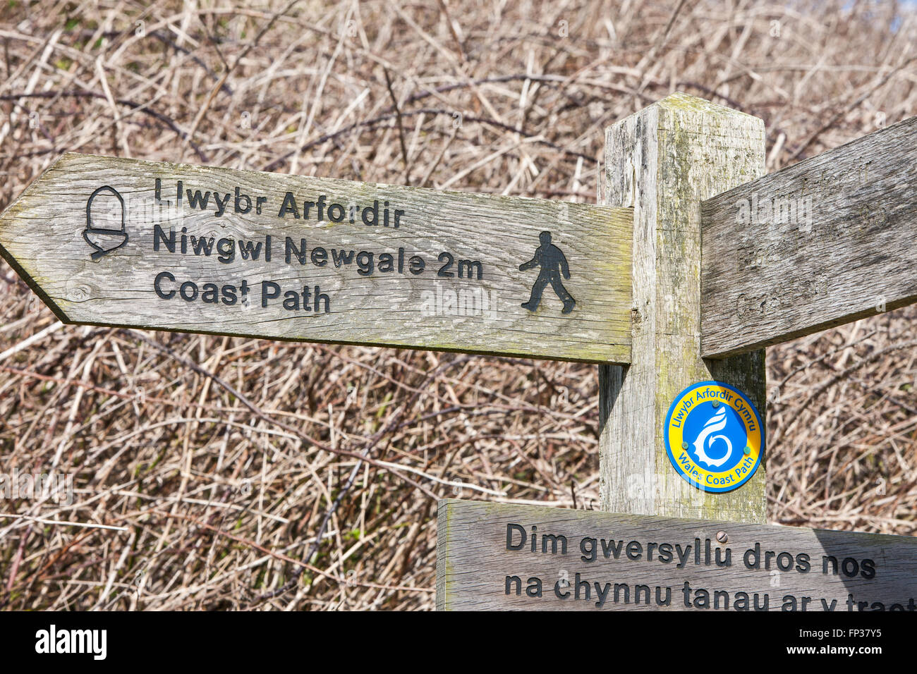 Finger-Beiträge Schild, Schild in der Nähe von Newgale Strand entlang Pembrokeshire Coast Path in der Nähe von St Davids. West-Wales, Großbritannien Europa. März. Foto Stockfoto