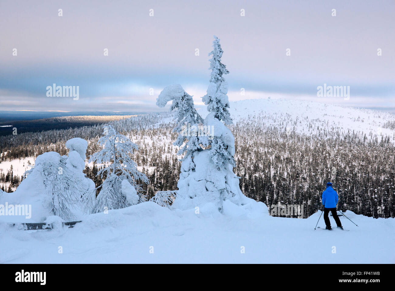 Starker Schneefall auf der Salla fiel. Salla-Skigebiet. Tief in der Wildnis von stark Schnee beladene Nadelbäume und robuste Fell Hallo Stockfoto