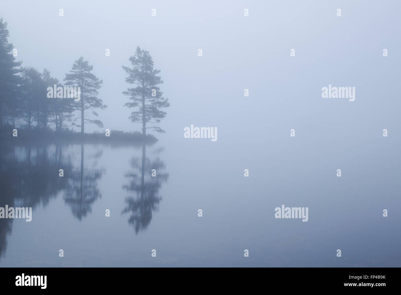Bäume in dichten Nebel am Loch ein Eilein Stockfoto