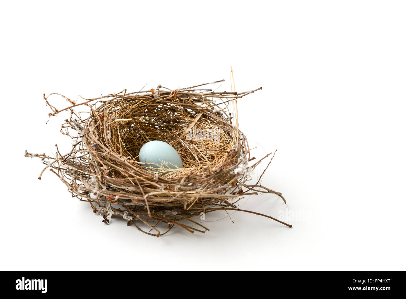 Vogelnest mit ei isoliert auf weiss Stockfoto