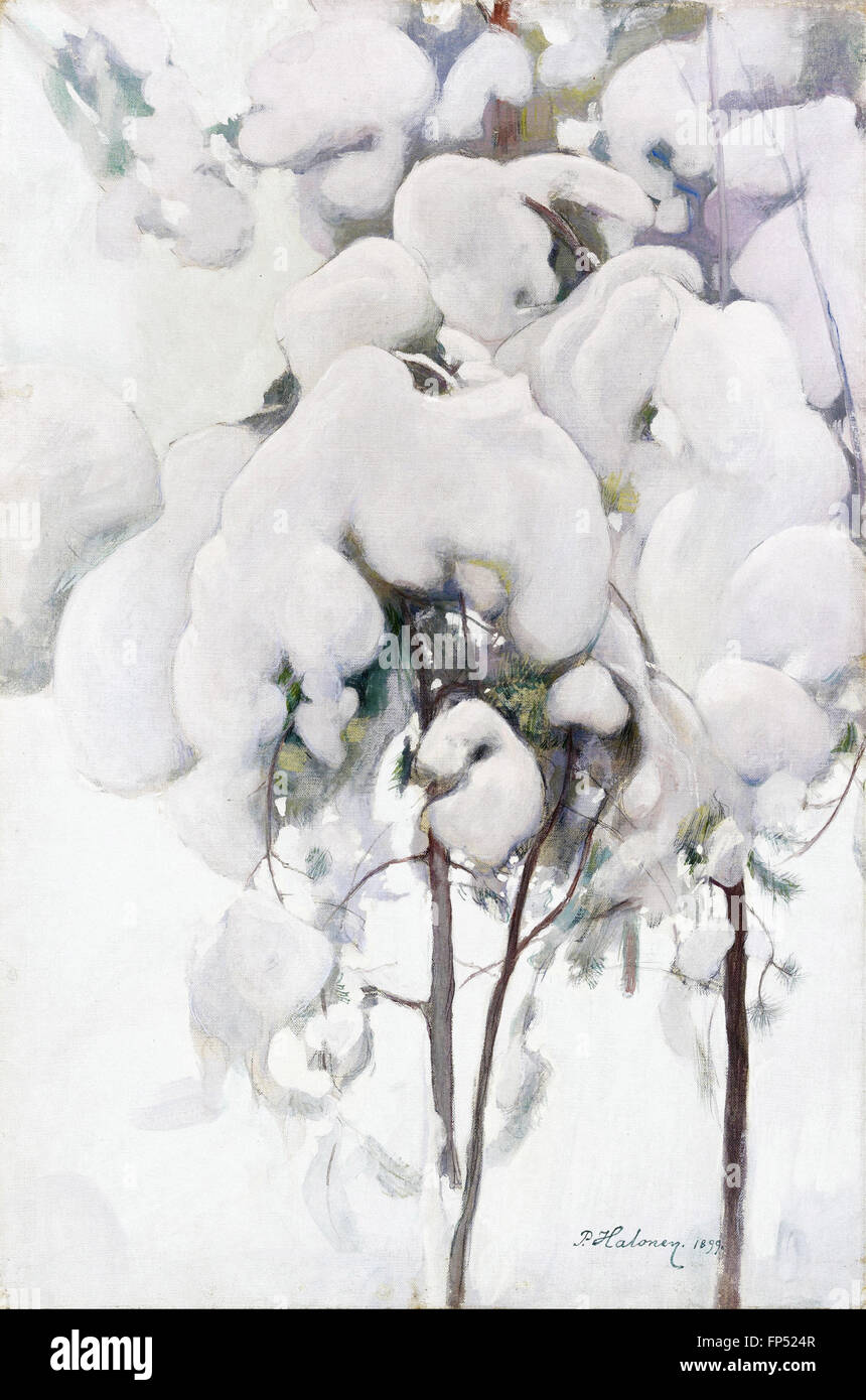 Pekka Halonen - schneebedeckte Kiefer Setzlinge Stockfoto