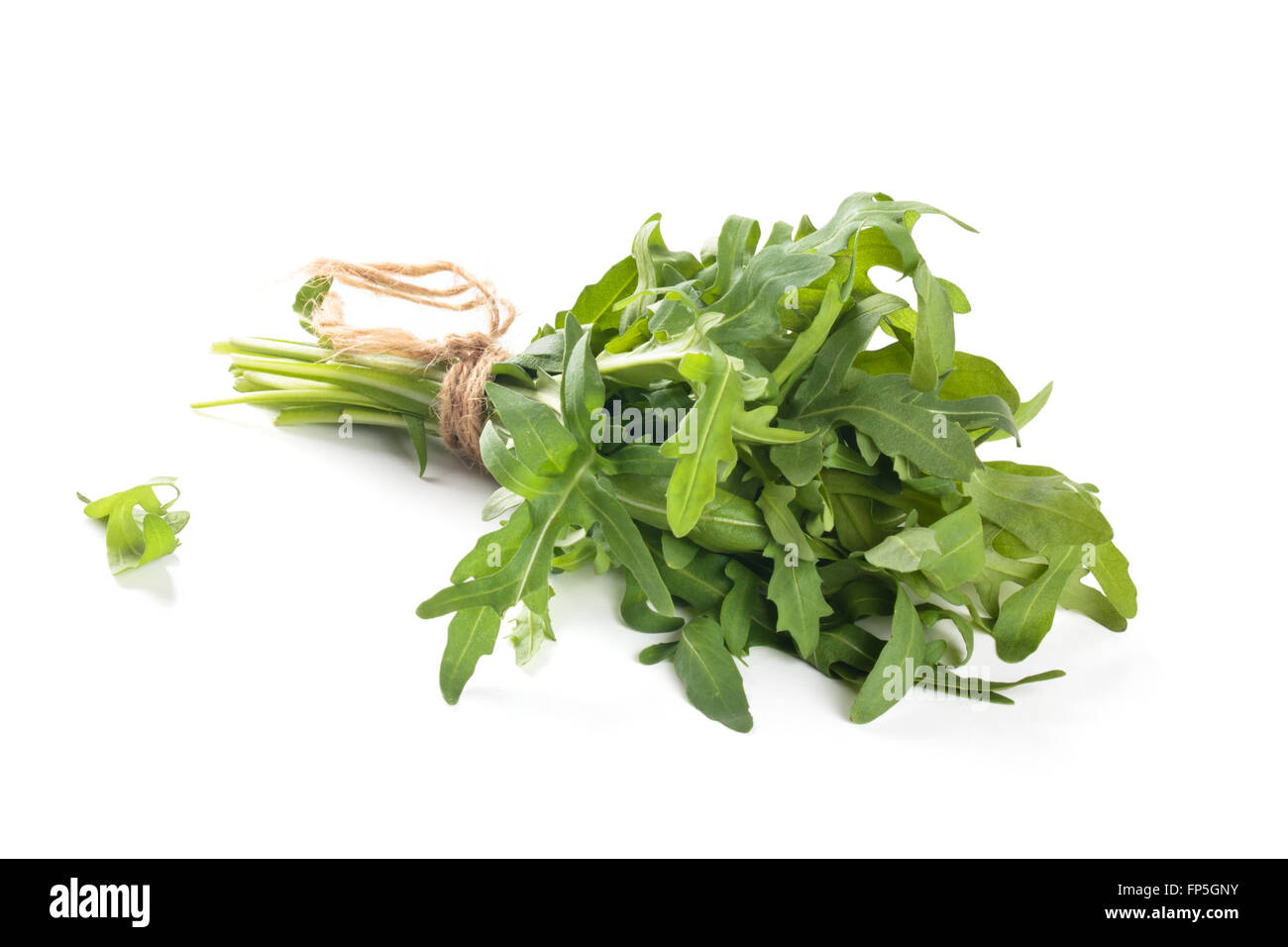 Frischer Rucola Blätter. Stockfoto