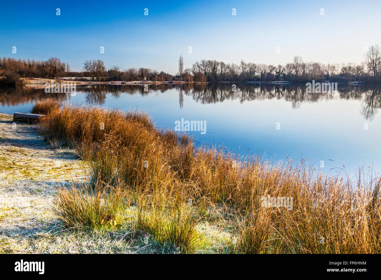 Einem frostigen Wintermorgen auf einem der Seen im Cotswold Water Park Stockfoto