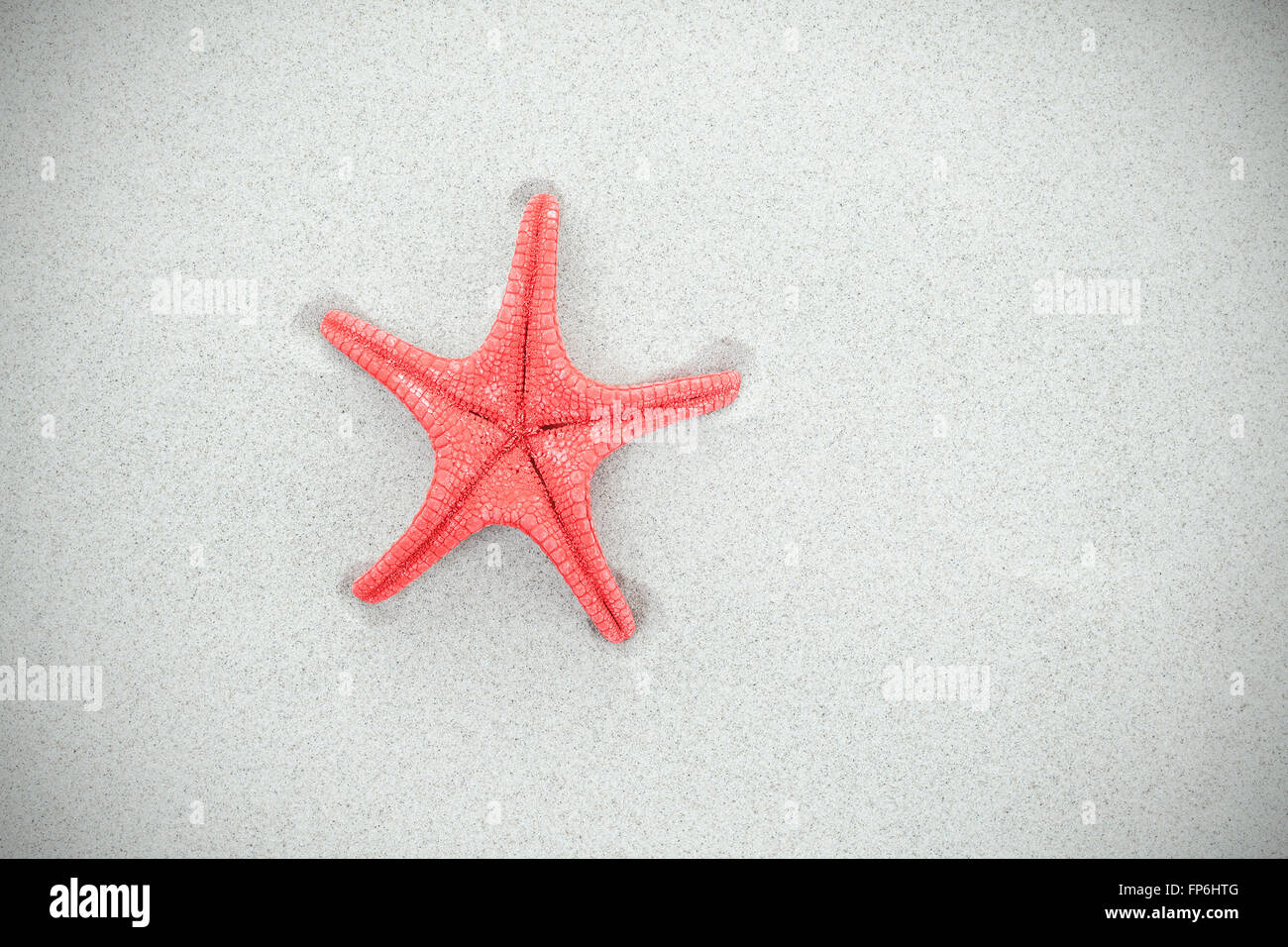 Roter Seestern auf Sand, Vignetteneffekt, Platz für Text. Stockfoto