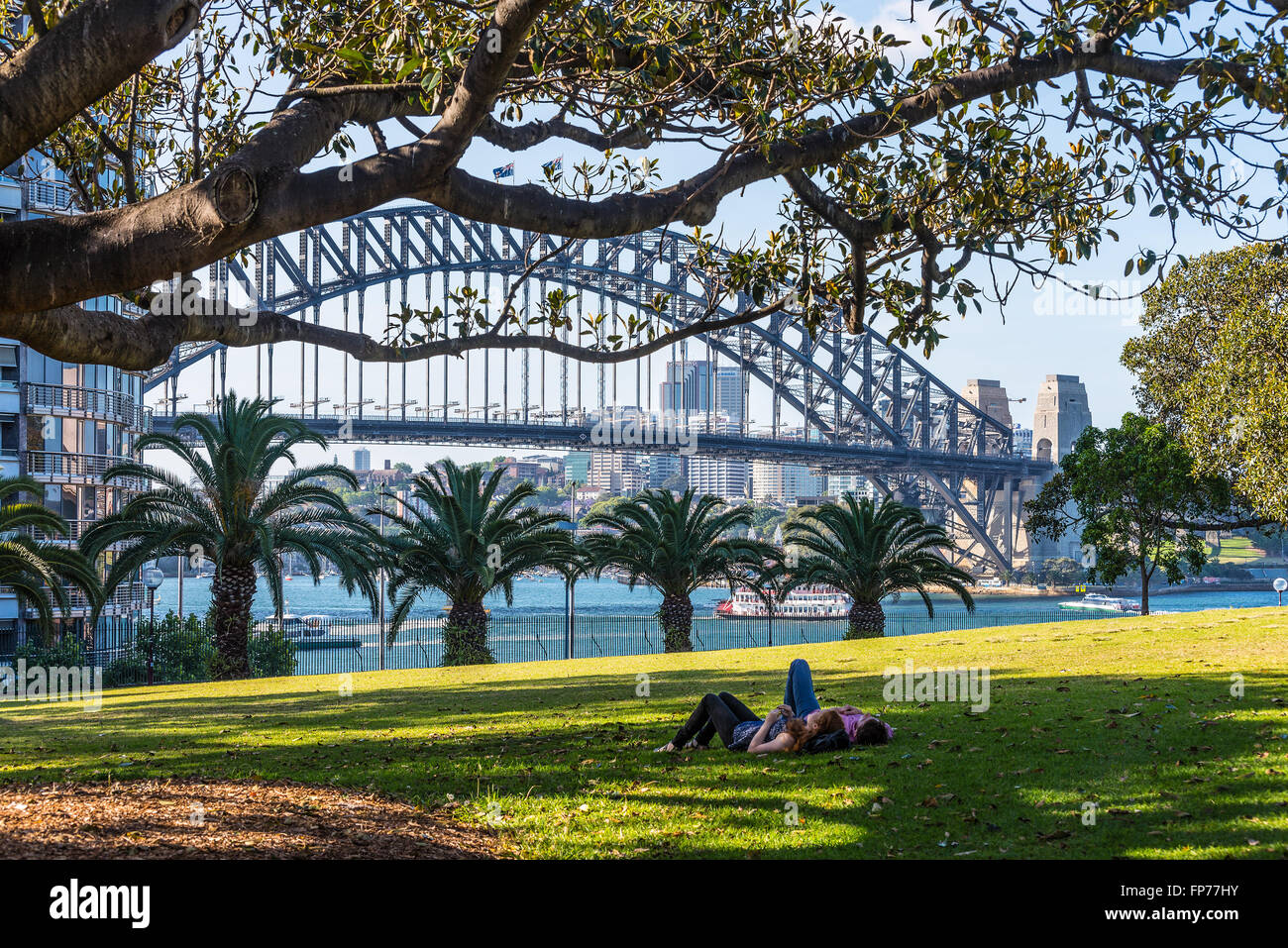Einfach entspannen im Park und genießen Sie eines der berühmten Brücken der Welt, Sydney, New South Wales, Australien Stockfoto