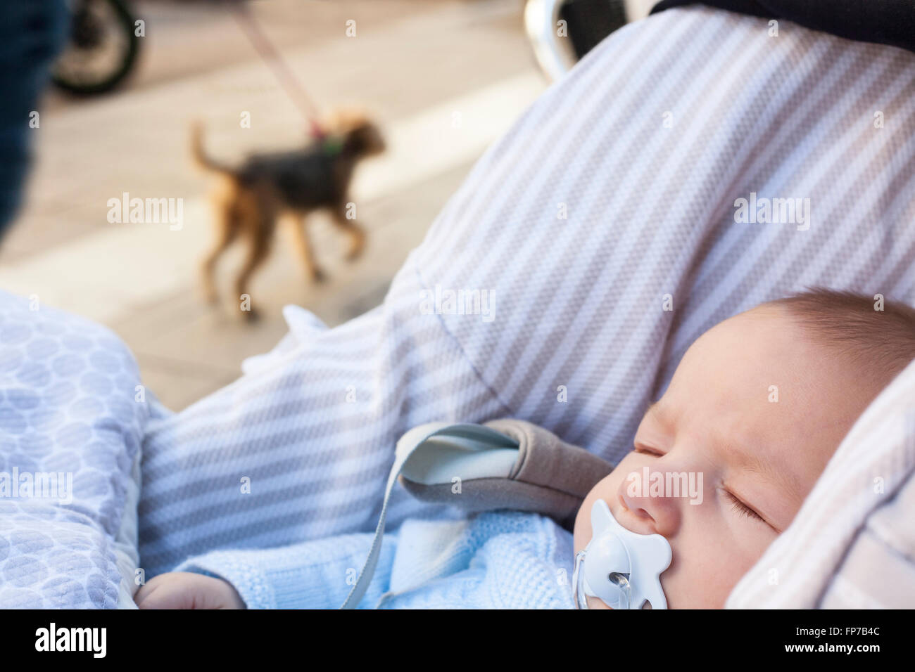 3 Monate Babyjungen schlafen in seinem Kinderwagen einen sonnigen Tag Stockfoto