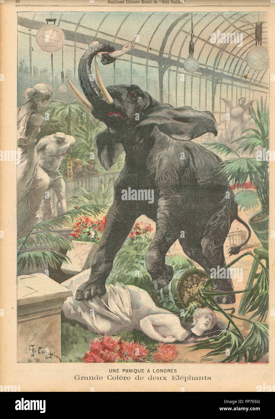 Elefant wüte Crystal Palace 1900.  Archie & Charlie der Sangers Zirkus Stockfoto