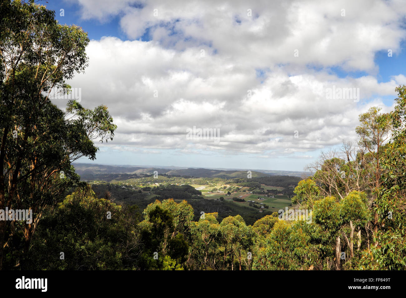 Blick ins Tal Picadilly aus Mount Lofty in der Nähe von Adelaide, South Australia, Australien. Stockfoto