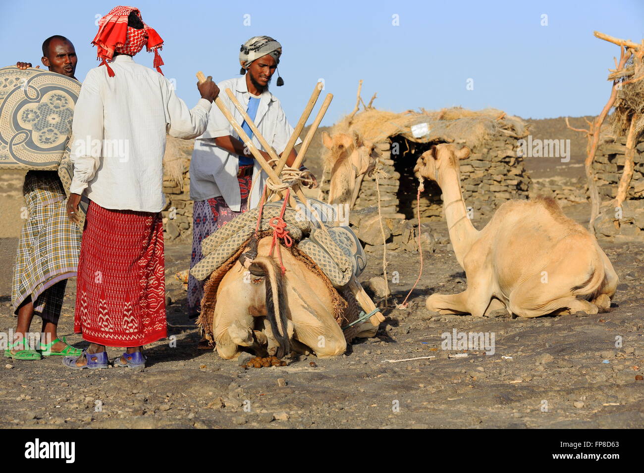 DANAKIL, Äthiopien-März 26: Der Ferne laden Kamel Tierhalter ihre Tiere mit allem notwendig, den Vulkan Erta Ale zu besuchen. Stockfoto