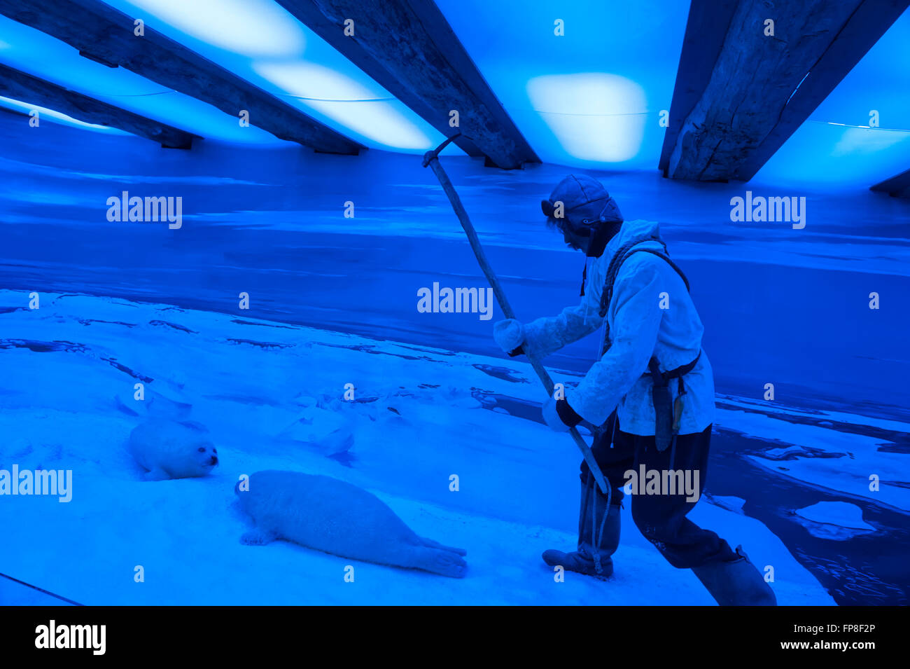 Jagd im The Polar Museum ausgestellt zu versiegeln. Tromso. Norwegen Stockfoto