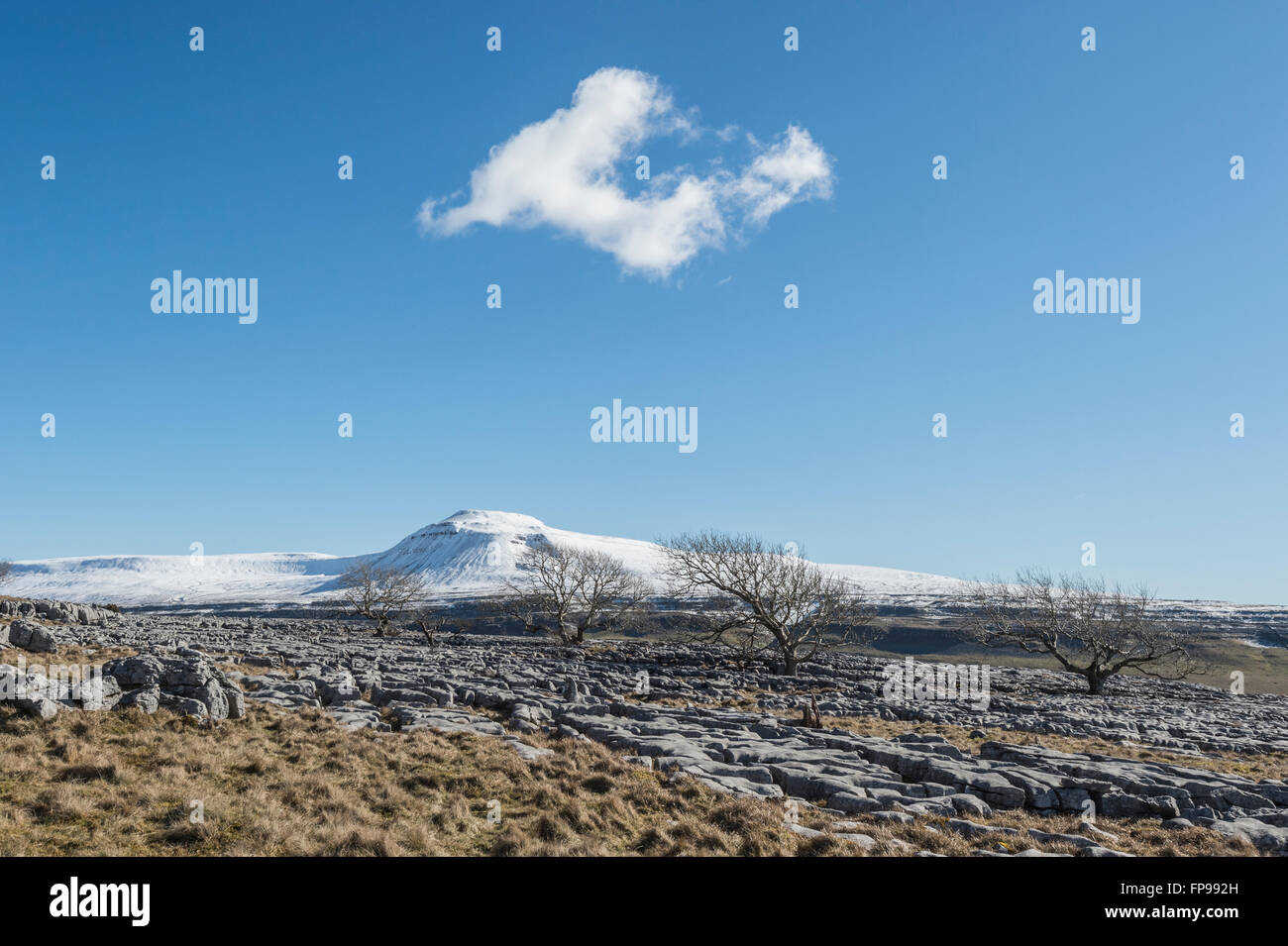 Karrenfelder auf Twistleton Narbe in den Yorkshire Dales in der Nähe des Dorfes Ingleton mit Ingleborough in der Ferne Stockfoto