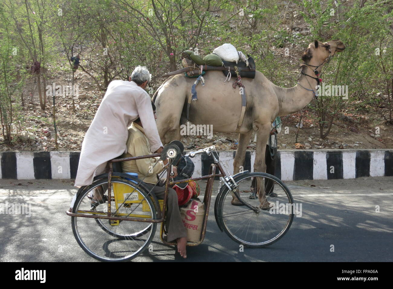 Messerschleifer mit seinem Motorrad unterwegs und Schleifscheibe neben einem Kamel auf einem Weg von Jaipur, Indien Stockfoto