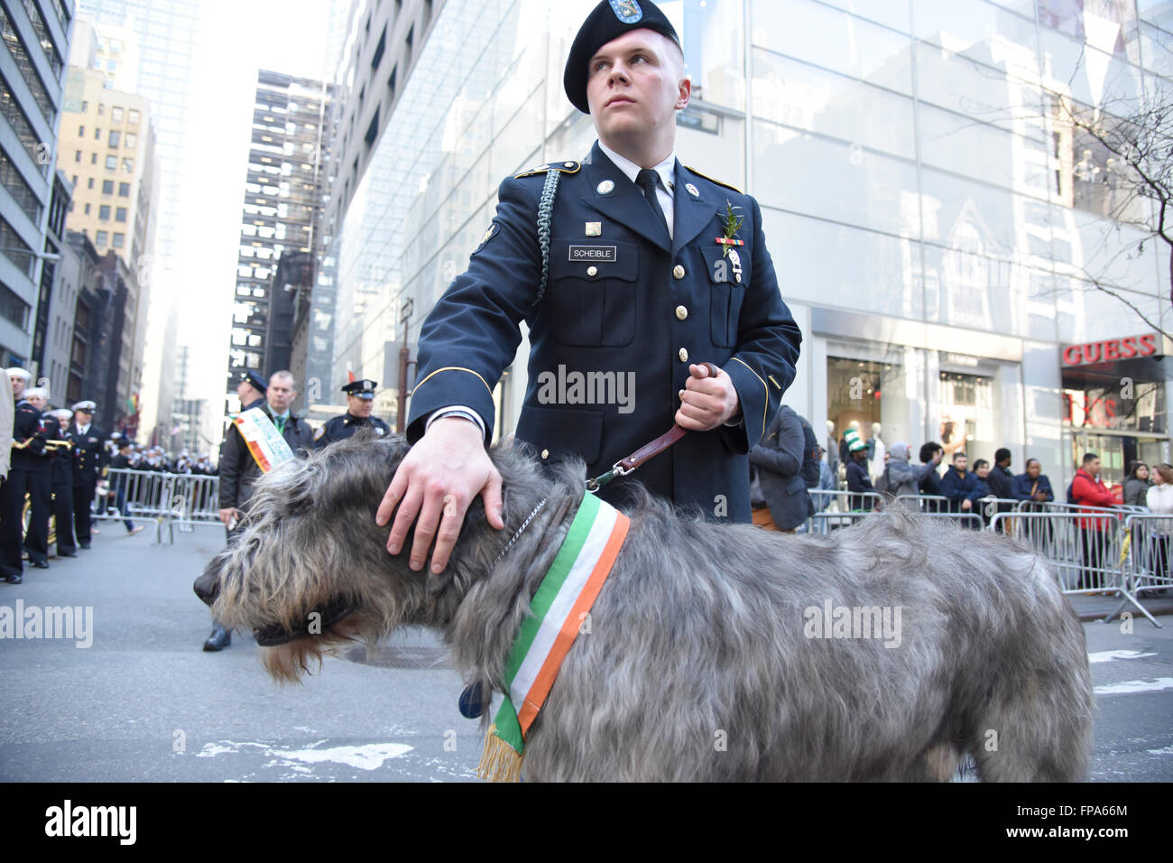 New York City, USA, 17. März 2016. St. Patricks Day Parade: Irish Wolfhound, Maskottchen von der St. Patricks Day Parade mit Handler in einheitlichen Credit: Andrew Katz/Alamy Live News Stockfoto