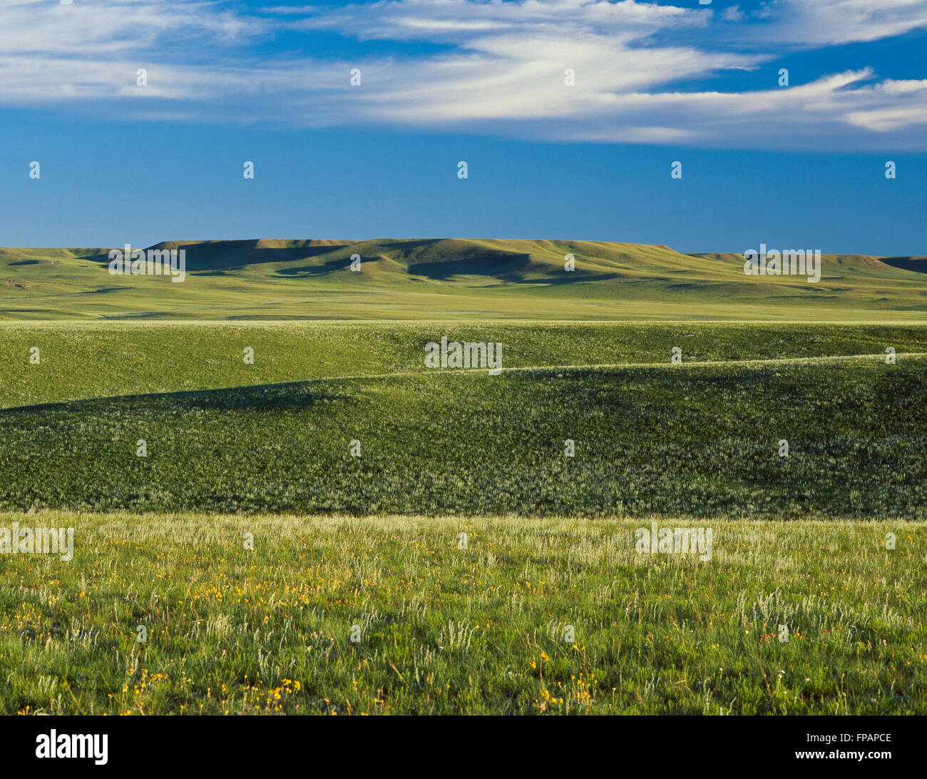 Prärie-Hügel in der Nähe von Choteau, montana Stockfoto