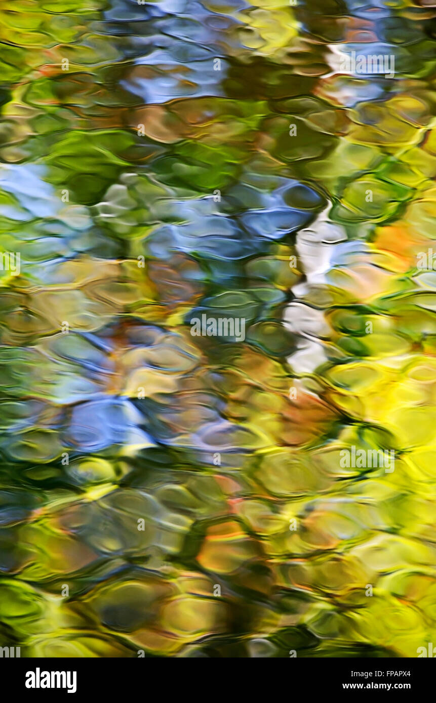 Fluid abstrakte flüssiges Wasser Wellen Reflexion der Herbst Bäume. Stockfoto