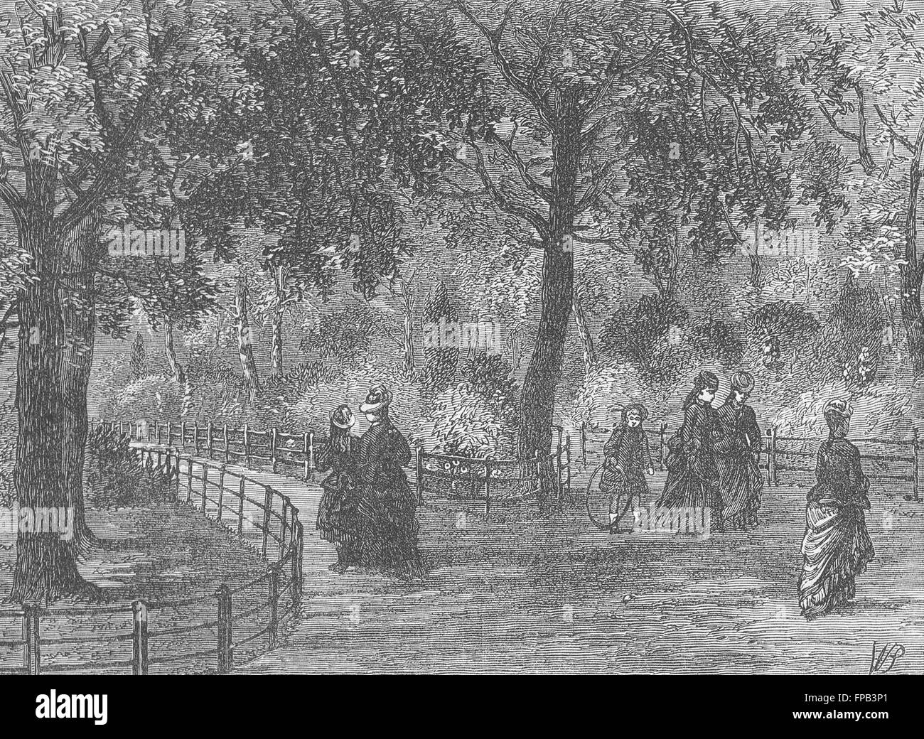 LONDON: Kensington Gdns: Blume Spaziergänge, antique print 1880 Stockfoto