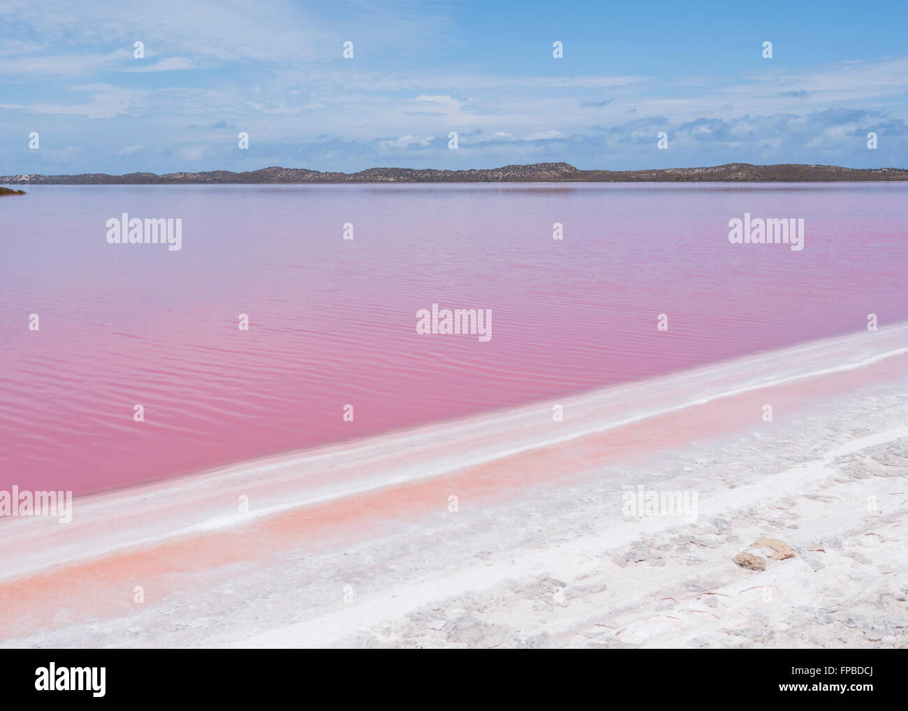 Hutt Lagune, Pink Lake, enthalten Beta-Carotin, Western Australia, WA, Australien Stockfoto