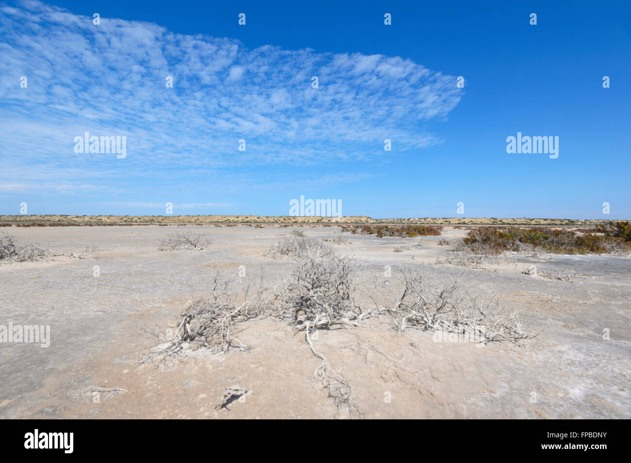 McLeod Lake, Gascoine Region, Carnarvon, Western Australia, WA, Australien Stockfoto