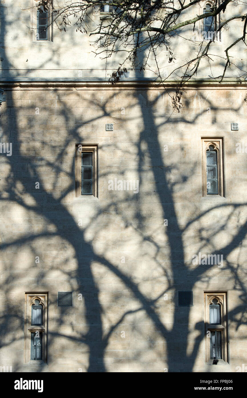 Schatten an der Außenwand von einem College in Oxford. England Stockfoto
