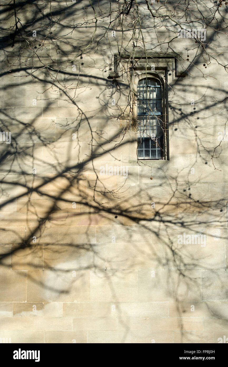 Schatten an der Außenwand von einem College in Oxford. England Stockfoto