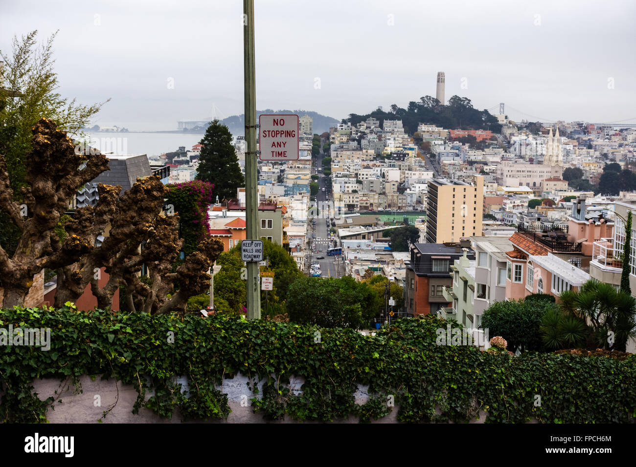 Die Aussicht auf San Francisco von Lombard Street Stockfoto