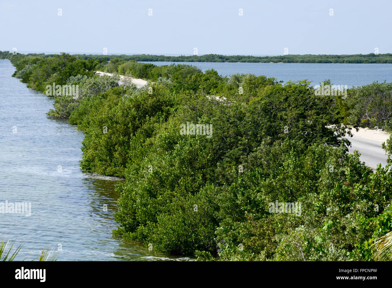 Straße auf der Insel Cayo Coco jenseits des Atlantiks, Kuba Stockfoto