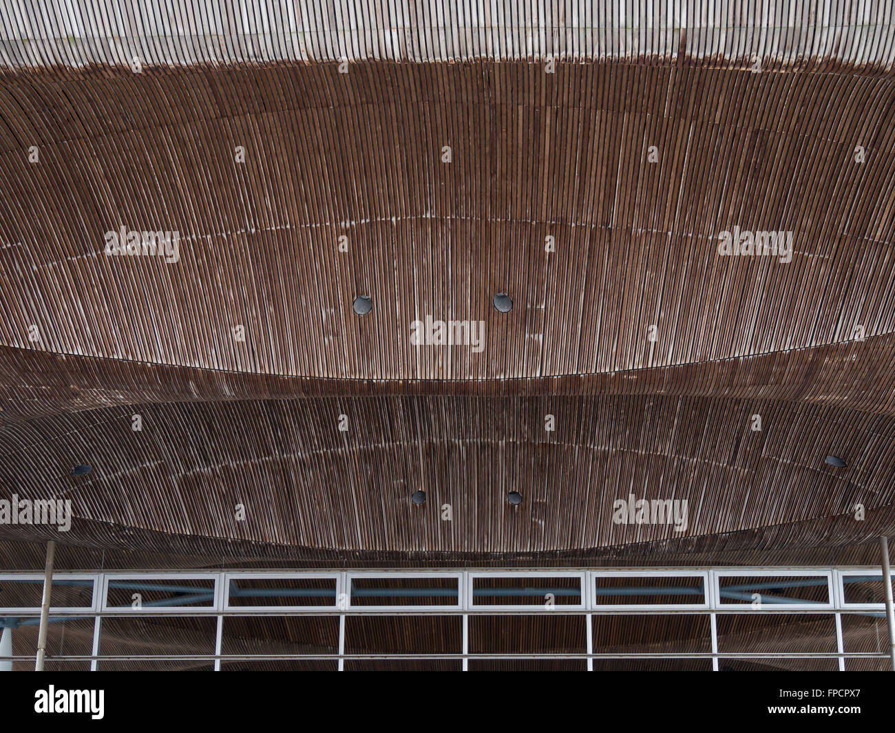 Dach-Detail, National Assembly for Wales, Cardiff Bay, Cardiff, South Glamorgan, Wales, UK, Europa Stockfoto