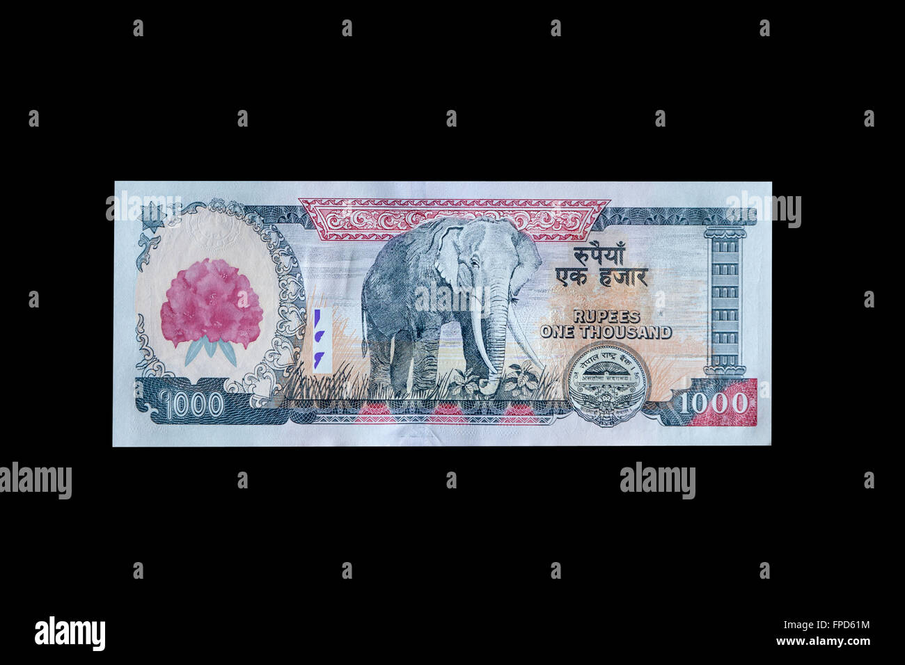 Nepal Währung, 1000 Rupien, Vorder- und Rückseite.  Mt. Everest, Elefanten.  Devanagari Alphabet und lateinische Alphabet verwendet. Stockfoto