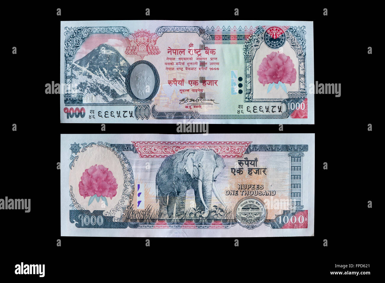 Nepal Währung, 1000 Rupien, Vorder- und Rückseite.  Mt. Everest, Elefanten.  Devanagari Alphabet verwendet. Stockfoto