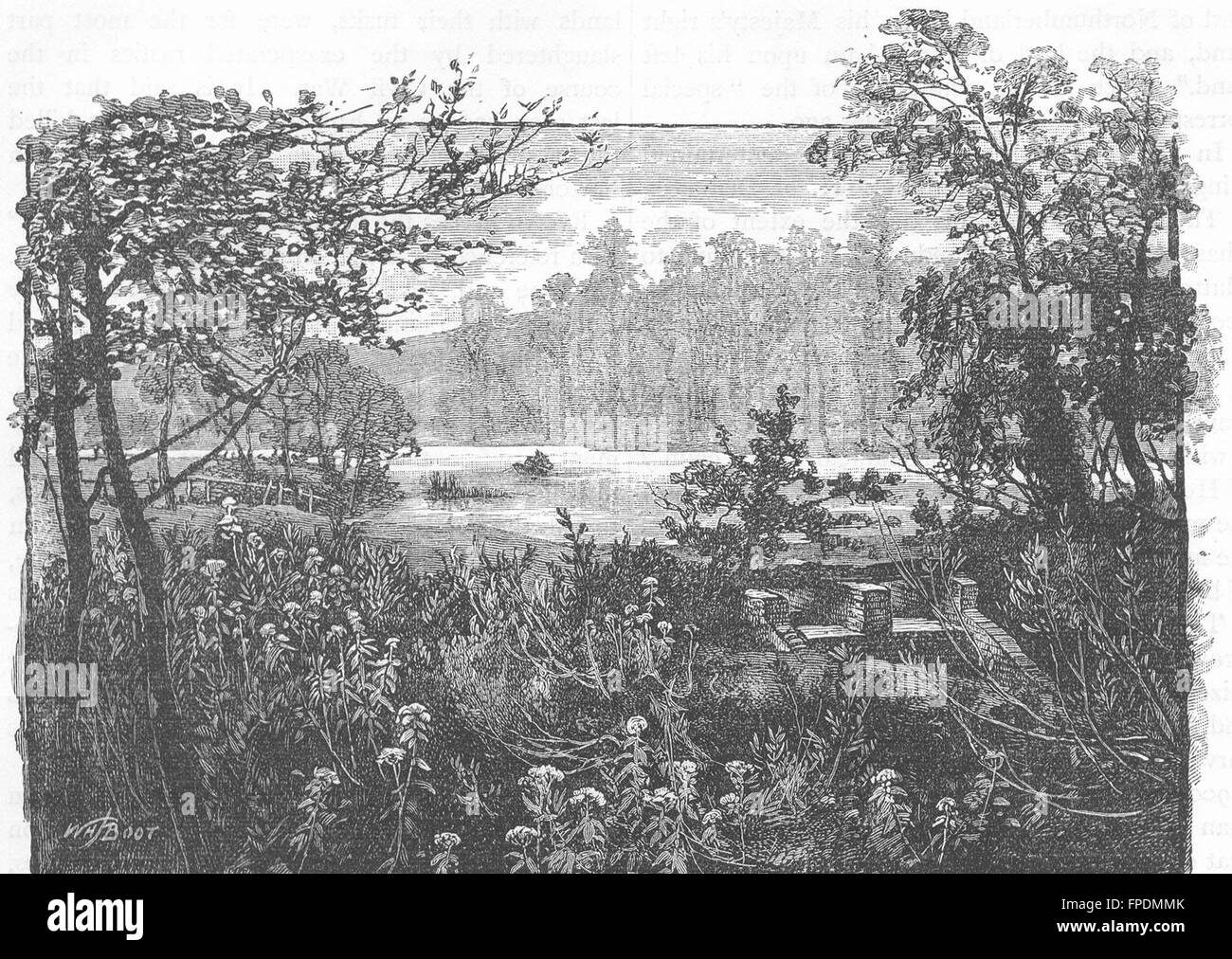 ENFIELD CHASE: Sehen Sie in Trent Park, antike print 1888 Stockfoto