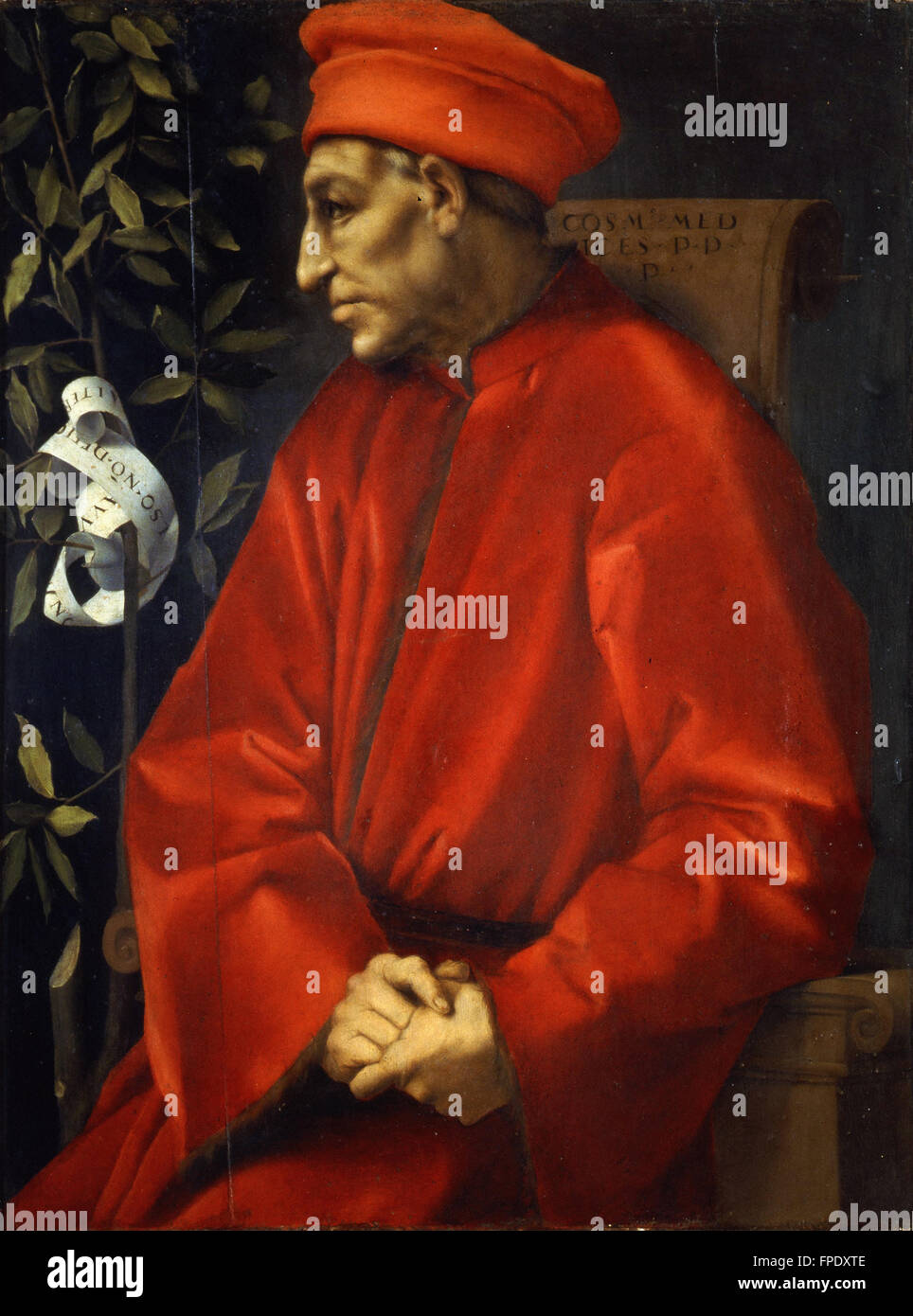 Pontormo - Ritratto di Cosimo il Vecchio Stockfoto