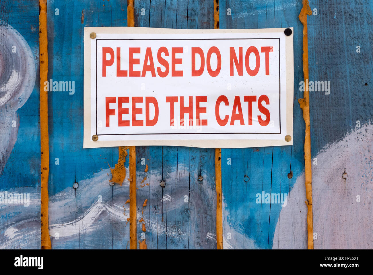Ein Zeichen Leute Fragen zu unterlassen, streunende Katzen füttern. Stockfoto