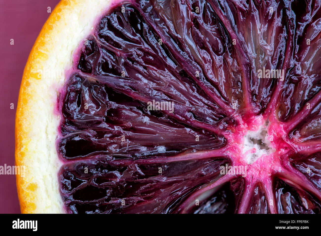 Citrus x Sinensis. Blutorange hautnah Stockfoto