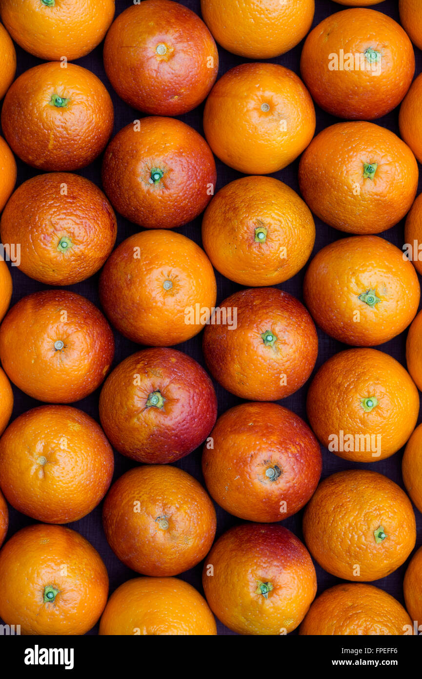 Citrus x Sinensis. Blut-Orangen-Muster Stockfoto