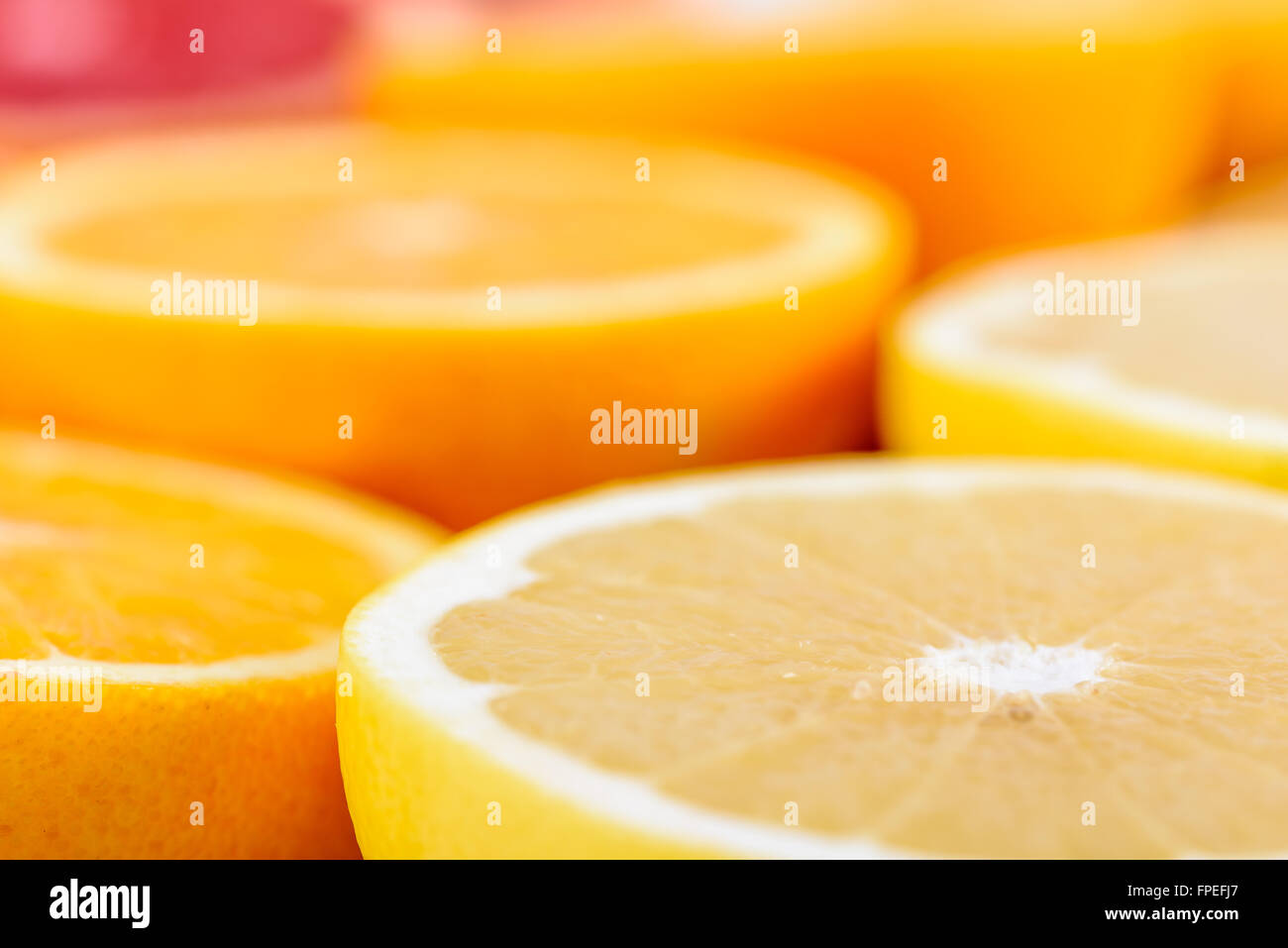 Rot-Orangen, Orangen und Grapefruits Zitrusfrucht-Scheiben Stockfoto