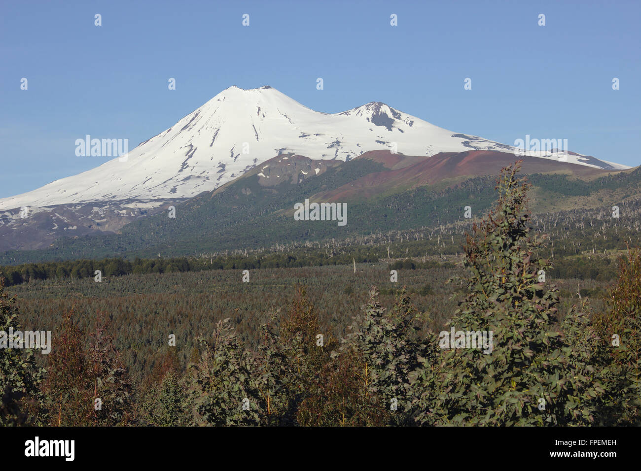 Vulkan Llaima von Südwesten, Chile Stockfoto