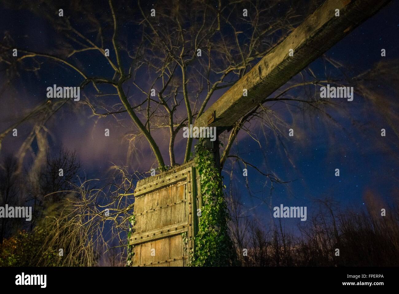 Lange Exposition Foto des Baumes schwanken von einem großen Tor unter einem Sternenhimmel Stockfoto