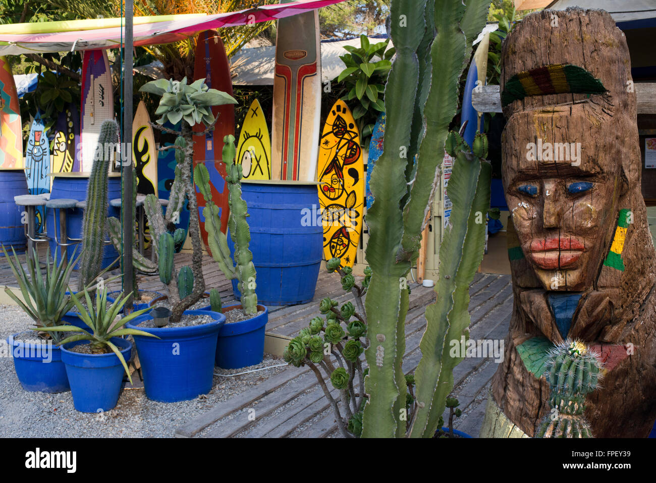 Surf-Tabellen und Kaktus in Acapulco Surf Bar, Es Calo, Formentera, Balearen, Spanien. Stockfoto