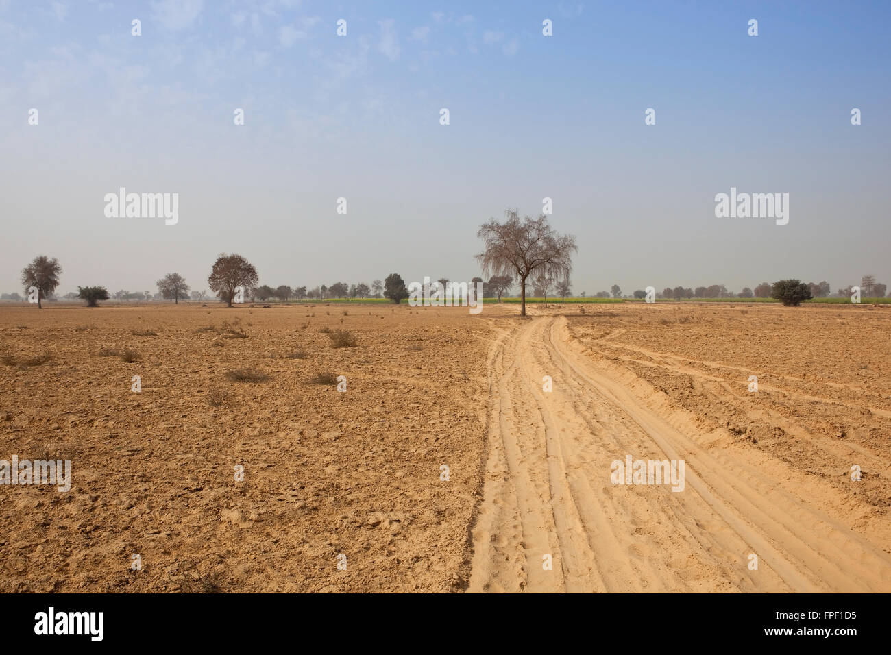 Staubige Strecke durch die trockene Landschaft des ländlichen Abohar in Ferozepur Bezirk von Rajasthan im Norden Indiens. Stockfoto