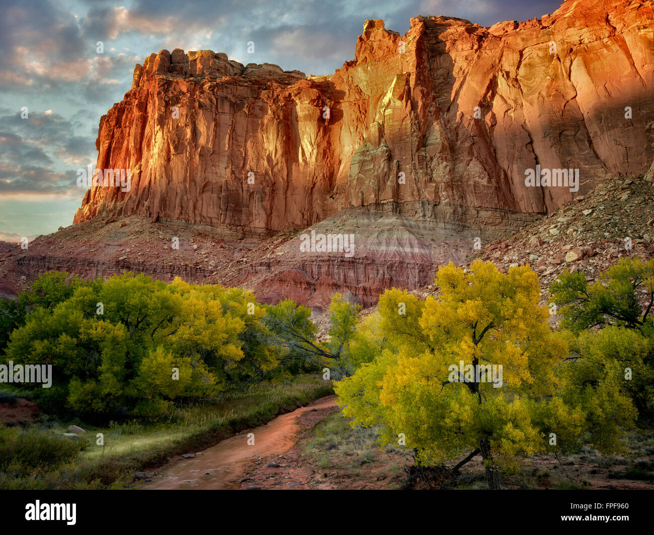 Fallen Sie farbige Cottonwood-Bäume und Felsen. Capitol Reef National Park, Utah Stockfoto