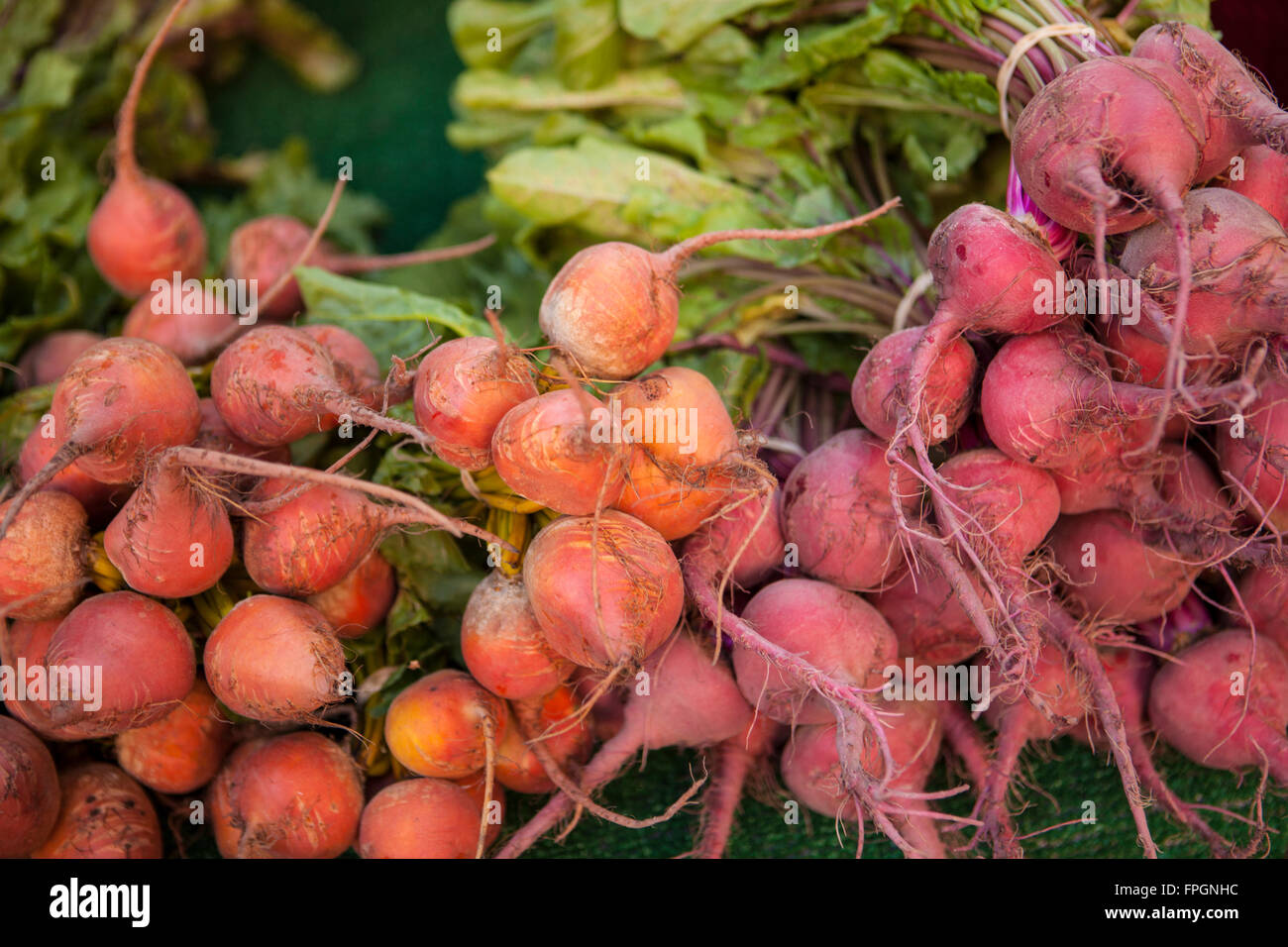 Rüben zum Verkauf an Downtown Farmers Market, San Luis Obispo, Kalifornien Stockfoto