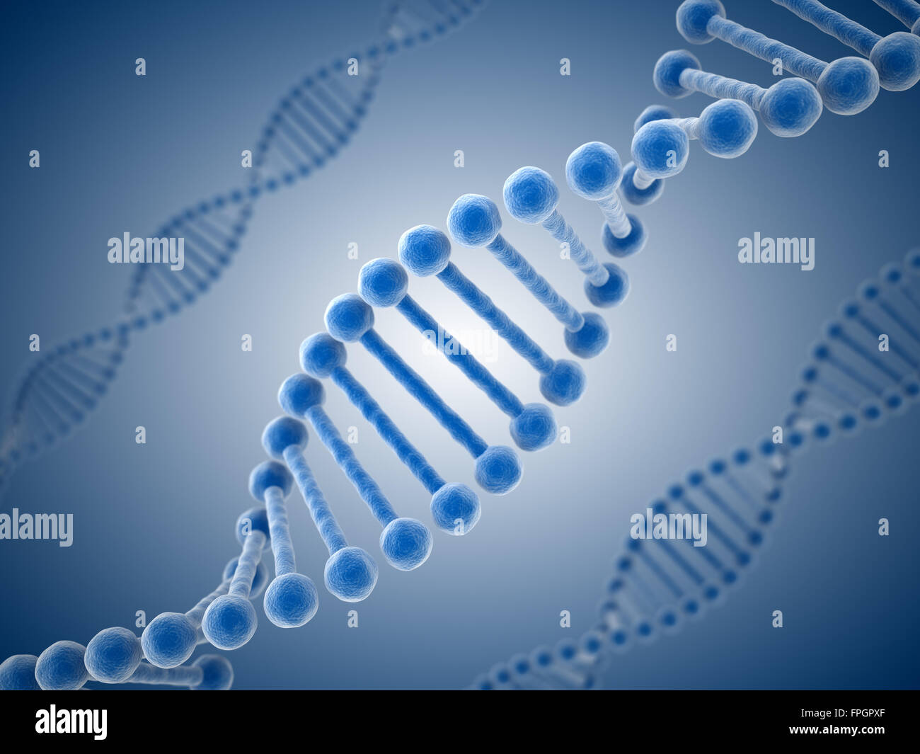 menschliche Chromosomenstruktur