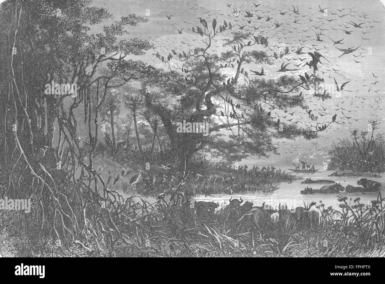 Zentralafrika: Seenlandschaft, antiken print 1880 Stockfoto