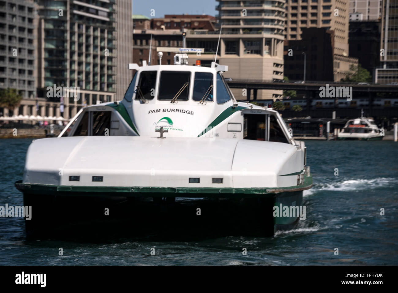 Ein Sydney Pendler Riverboat (Katamaran) erbringt eine öffentliche Dienstleistung im Großraum Sydney Hafen, wie es Circular Quay in Syd Blätter Stockfoto