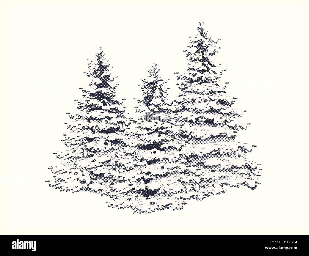 Drei Bäume mit Schnee bedeckt Stockfoto