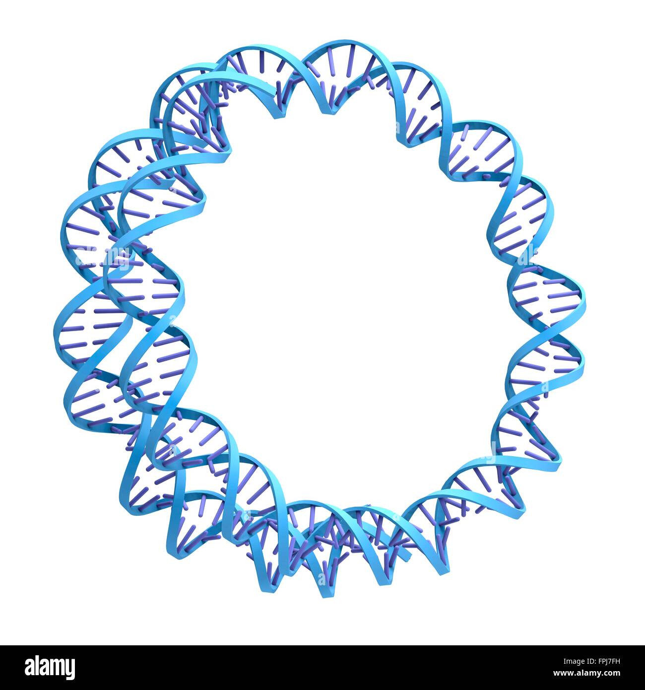 Kreisförmige DNA (Desoxyribonukleinsäure) Molekül, Computer-Grafik. Stockfoto